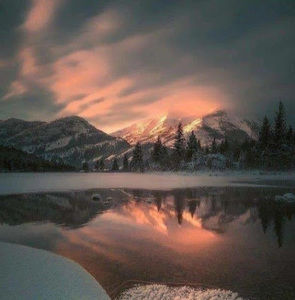 Meet your Posher, Lauryn